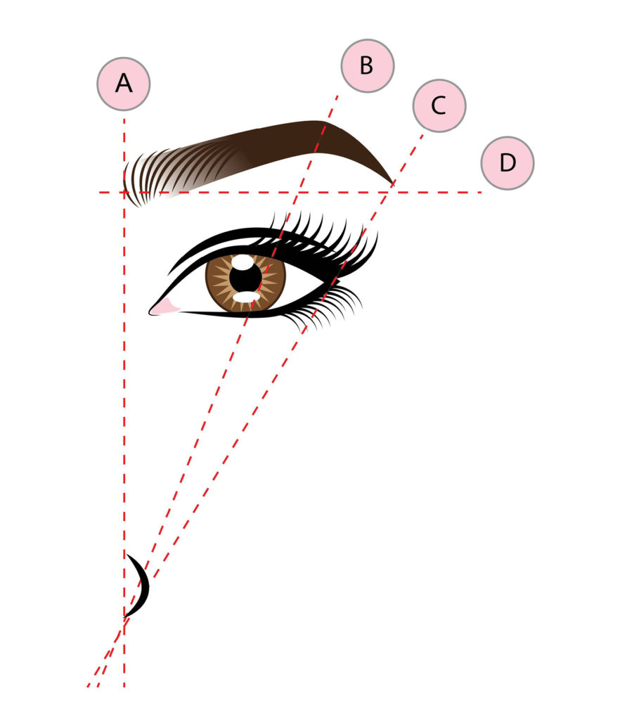 visual brow bar lato